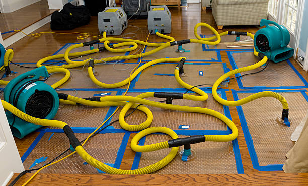 Professional Water Extraction technician working in Peshtigo, WI